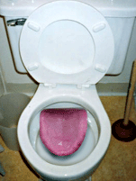 image file name: 2k86a7653b61.gif