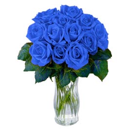 image file name: 2k86bd9debe5.jpg
