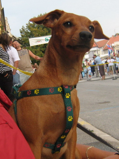 image file name: 2k875721a89f.jpg