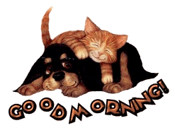 image file name: 2k87620a2803.gif