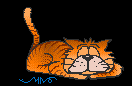 image file name: 2k883495e52f.gif