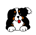 image file name: 2k8970335654.gif