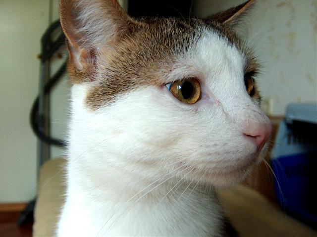 image file name: 2k8997a4ff83.jpg