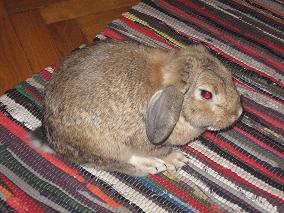 image file name: 2k8b44c4e50f.jpg