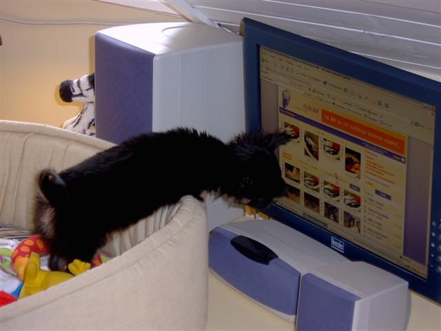 image file name: 2k8b6141de49.jpg