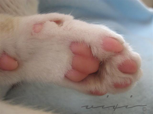image file name: 2k8c2a816c9b.jpg