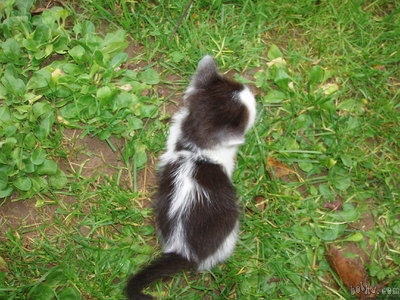 image file name: 2k8c5ced266b.jpg