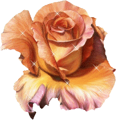 image file name: 2k8cb30fb8f1.gif