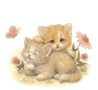 image file name: 2k8cbf962f1a.gif