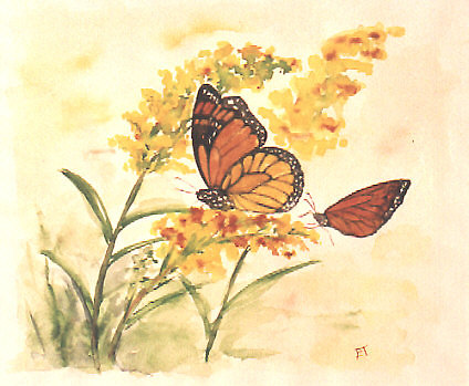 image file name: 2k8e761eb8e3.jpg