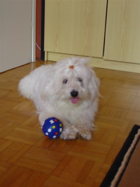 image file name: 2k8fce3ce598.jpg