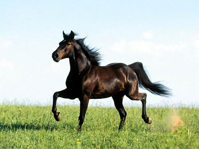 image file name: 2k8fe36c7de6.jpg