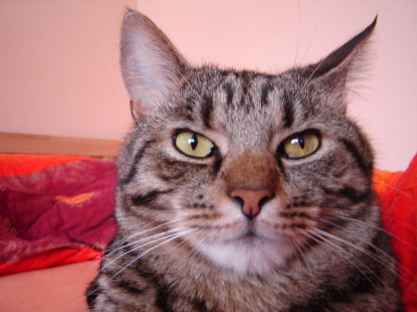 image file name: 2k91e01e99c3.jpg