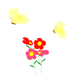 image file name: 2k9357a898ad.gif