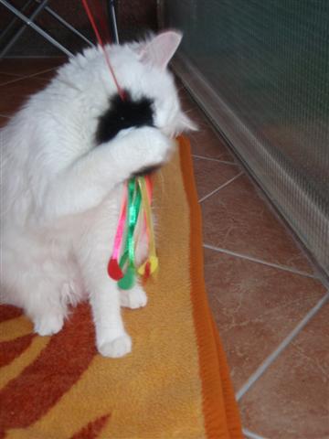 image file name: 2k939eed5ae2.jpg