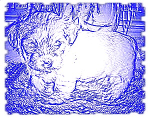 image file name: 2k93b85a93ed.jpg