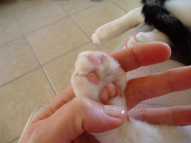 image file name: 2k94436c3e1d.jpg