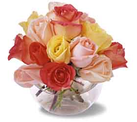 image file name: 2k952738d35e.jpg