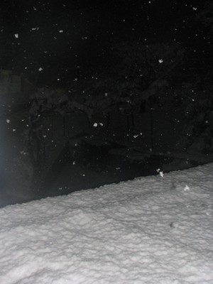 image file name: 2k95ff2ffc05.jpg