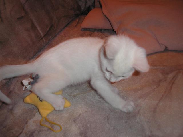 image file name: 2k965424f372.jpg