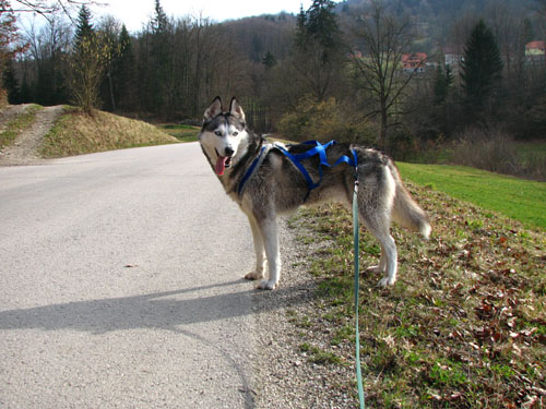 image file name: 2k9669b1edcf.jpg