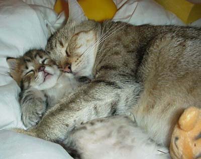 image file name: 2k9693b54df8.jpg
