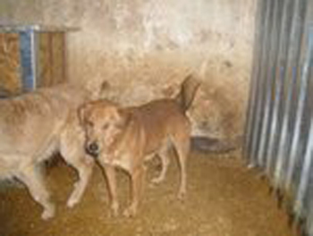 image file name: 2k96d92ec15b.jpg