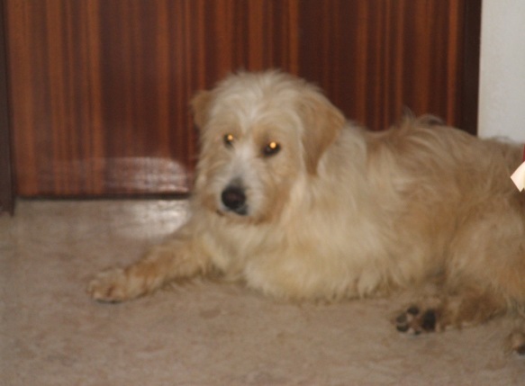 image file name: 2k96f0022cc0.jpg
