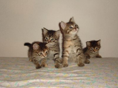 image file name: 2k97d6eda6d1.jpg
