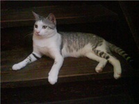 image file name: 2k9b5b7001ad.jpg