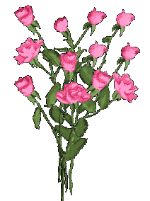 image file name: 2k9b8464d233.gif