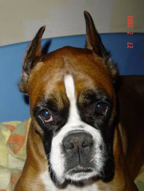 image file name: 2k9becdd616b.jpg