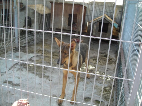 image file name: 2k9c7c1cf0dc.jpg