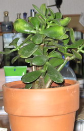 image file name: 2k9ca7cb54f9.jpg