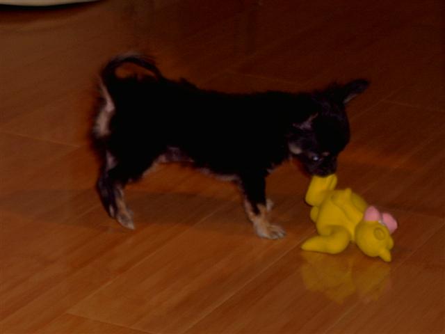 image file name: 2k9cd8c7bf68.jpg