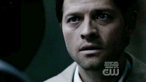 image file name: 2k9d017f33e5.gif