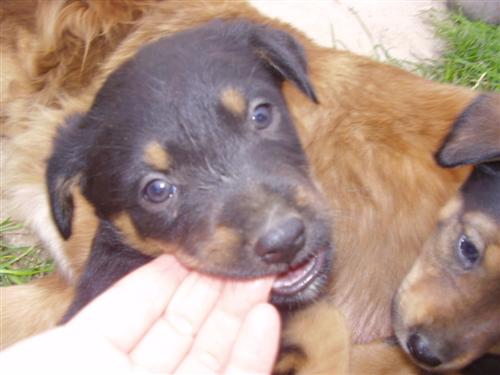 image file name: 2k9d6a8cad5c.jpg