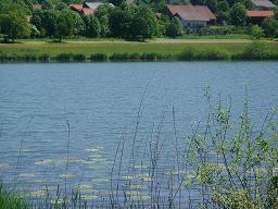 image file name: 2k9db4439bc6.jpg