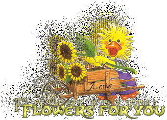 image file name: 2k9dce28aeea.gif