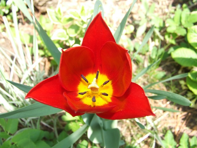 image file name: 2k9e15c32cd3.jpg