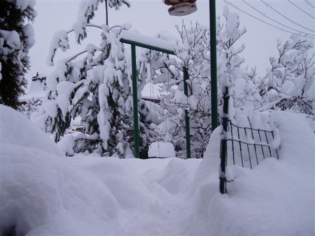 image file name: 2k9e2e6acd72.jpg