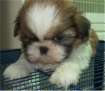 image file name: 2k9ecddd598a.jpg