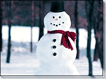 image file name: 2k9f6f4d3d11.gif