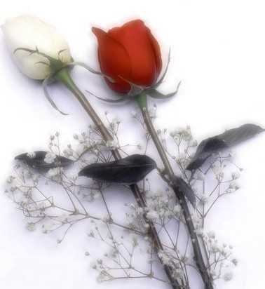 image file name: 2k9f73b4aad5.jpg