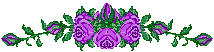 image file name: 2k9fa1135376.gif