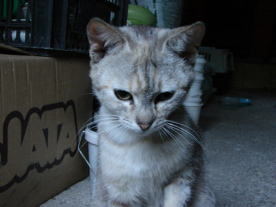 image file name: 2k9fc82566a7.jpg