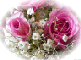 image file name: 2k9fe956f420.gif