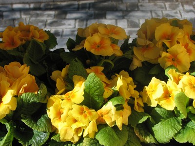 image file name: 2ka1278b9539.jpg