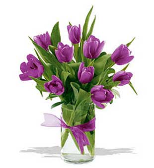 image file name: 2ka2689f26a2.jpg