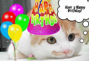 image file name: 2ka282e248a0.gif